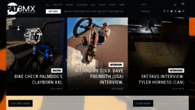 What Fatbmx.com website looked like in 2020 (4 years ago)
