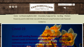 What Flowerfarm.co.uk website looked like in 2020 (4 years ago)