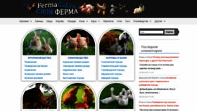 What Fermagid.ru website looked like in 2020 (4 years ago)
