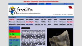 What Fencebilim.com website looked like in 2020 (4 years ago)