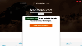 What Fenomenol.com website looked like in 2020 (4 years ago)