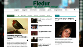 What Fledur.org.ua website looked like in 2020 (4 years ago)