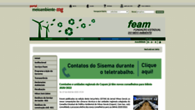 What Feam.br website looked like in 2020 (3 years ago)