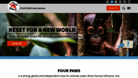 What Four-paws.org website looked like in 2020 (5 years ago)
