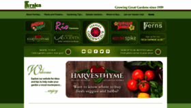 What Fernlea.com website looked like in 2020 (3 years ago)