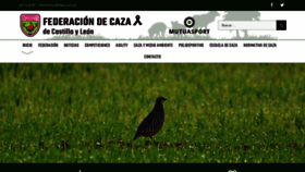 What Fedecazacyl.es website looked like in 2020 (3 years ago)