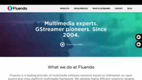 What Fluendo.com website looked like in 2020 (3 years ago)