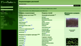 What Florapedia.ru website looked like in 2020 (3 years ago)