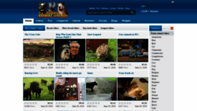 What Funnyanimalvideos.com website looked like in 2020 (3 years ago)