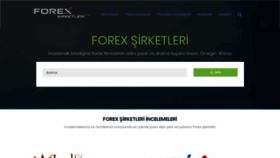 What Forexsirketleri.org website looked like in 2020 (3 years ago)