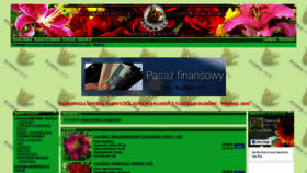 What Floranet.pl website looked like in 2020 (5 years ago)