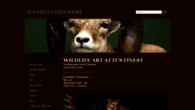 What Foothillstaxidermy.ca website looked like in 2020 (5 years ago)
