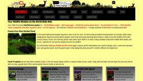 What First-nature.com website looked like in 2020 (3 years ago)