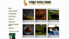 What Funnyduckfarms.com website looked like in 2020 (3 years ago)