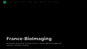 What France-bioimaging.org website looked like in 2020 (3 years ago)
