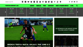 What Fnliga.cz website looked like in 2020 (3 years ago)