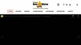 What Franceboisbuche.com website looked like in 2020 (3 years ago)