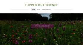 What Flippedoutscience.com website looked like in 2020 (3 years ago)