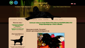 What Flatretriever.pl website looked like in 2020 (3 years ago)