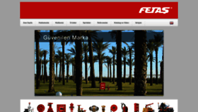 What Fetas.com website looked like in 2020 (3 years ago)