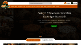 What Fethiyekoyurunleri.com website looked like in 2020 (3 years ago)