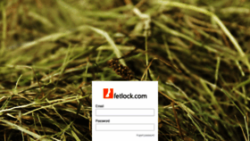 What Fetlock.com website looked like in 2020 (3 years ago)