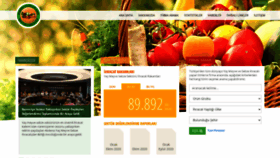 What Ffv.gov.tr website looked like in 2020 (4 years ago)