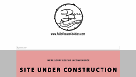 What Fullofbeans4babies.com website looked like in 2020 (4 years ago)