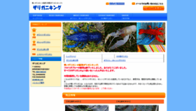 What Fuji5.com website looked like in 2020 (3 years ago)