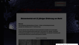 What Fliesen-baum.de website looked like in 2020 (3 years ago)