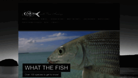 What Fish-on.com.au website looked like in 2020 (3 years ago)