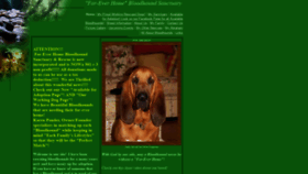 What For-everhomebloodhoundsanctuary.com website looked like in 2020 (3 years ago)