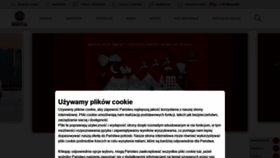 What Fiatprofessional.pl website looked like in 2020 (3 years ago)