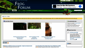 What Frogforum.net website looked like in 2021 (3 years ago)