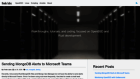 What Findelabs.com website looked like in 2021 (3 years ago)