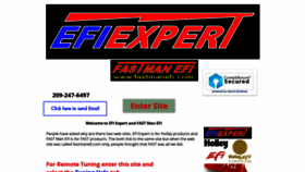 What Fastmanefi.com website looked like in 2021 (3 years ago)