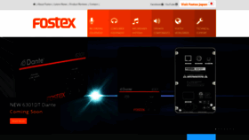 What Fostexinternational.com website looked like in 2021 (3 years ago)