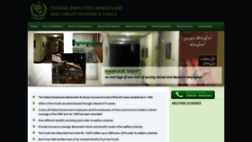 What Febgif.gov.pk website looked like in 2021 (3 years ago)