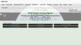 What Freesslvpn.us website looked like in 2021 (3 years ago)