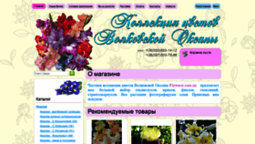 What Flowersi.com.ua website looked like in 2021 (3 years ago)