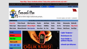What Fencebilim.com website looked like in 2021 (3 years ago)