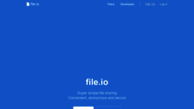 What File.io website looked like in 2021 (2 years ago)