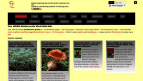 What First-nature.com website looked like in 2021 (2 years ago)