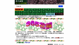 What Flower365.jp website looked like in 2021 (2 years ago)