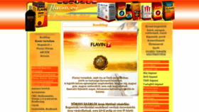What Flavin.eu website looked like in 2021 (2 years ago)