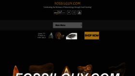 What Fossilguy.com website looked like in 2021 (2 years ago)