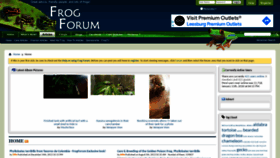 What Frogforum.net website looked like in 2022 (2 years ago)