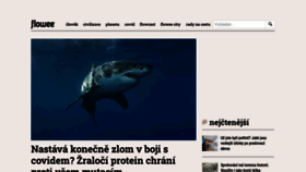 What Flowee.cz website looked like in 2022 (2 years ago)