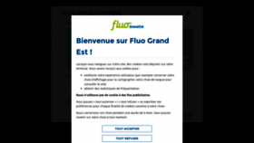 What Fluo.eu website looked like in 2022 (2 years ago)