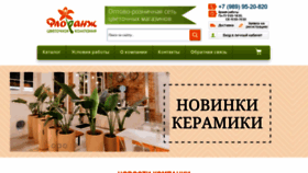 What Florangopt.ru website looked like in 2022 (2 years ago)